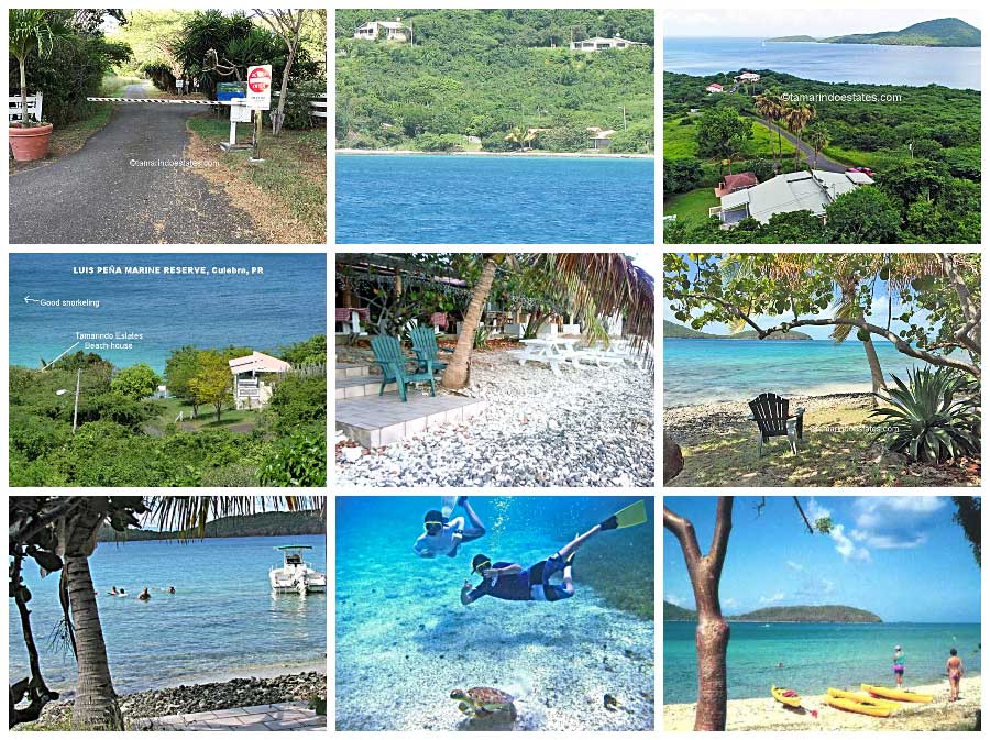 Aerial, ocean
                        and beach areas of Tamarindo Estates.