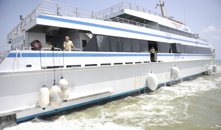 Big
                      Cat Express