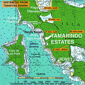 The
                          Tamarindo location