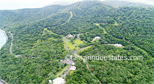 Aerial view
                  Tamarindo Estates