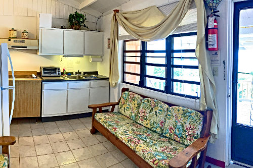 Typical iving-kitchen area