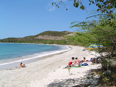 Playa
                        Tamarindo