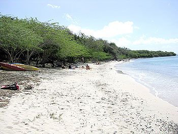 Tamarindo
                beach