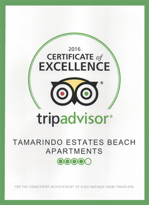Trip
                      Advisor Certificate of Excellence